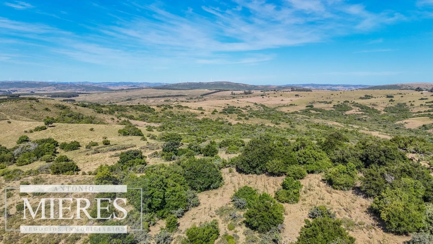 Fraccionamiento de 3 y 4 ha en sierras de Pueblo Edén — foto 11