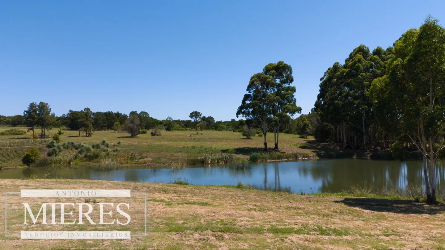 VENTA LOTE 4000M2 EN PUEBLOMIO GOLF — foto 1