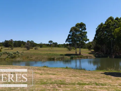 VENTA LOTE 4000M2 EN PUEBLOMIO GOLF