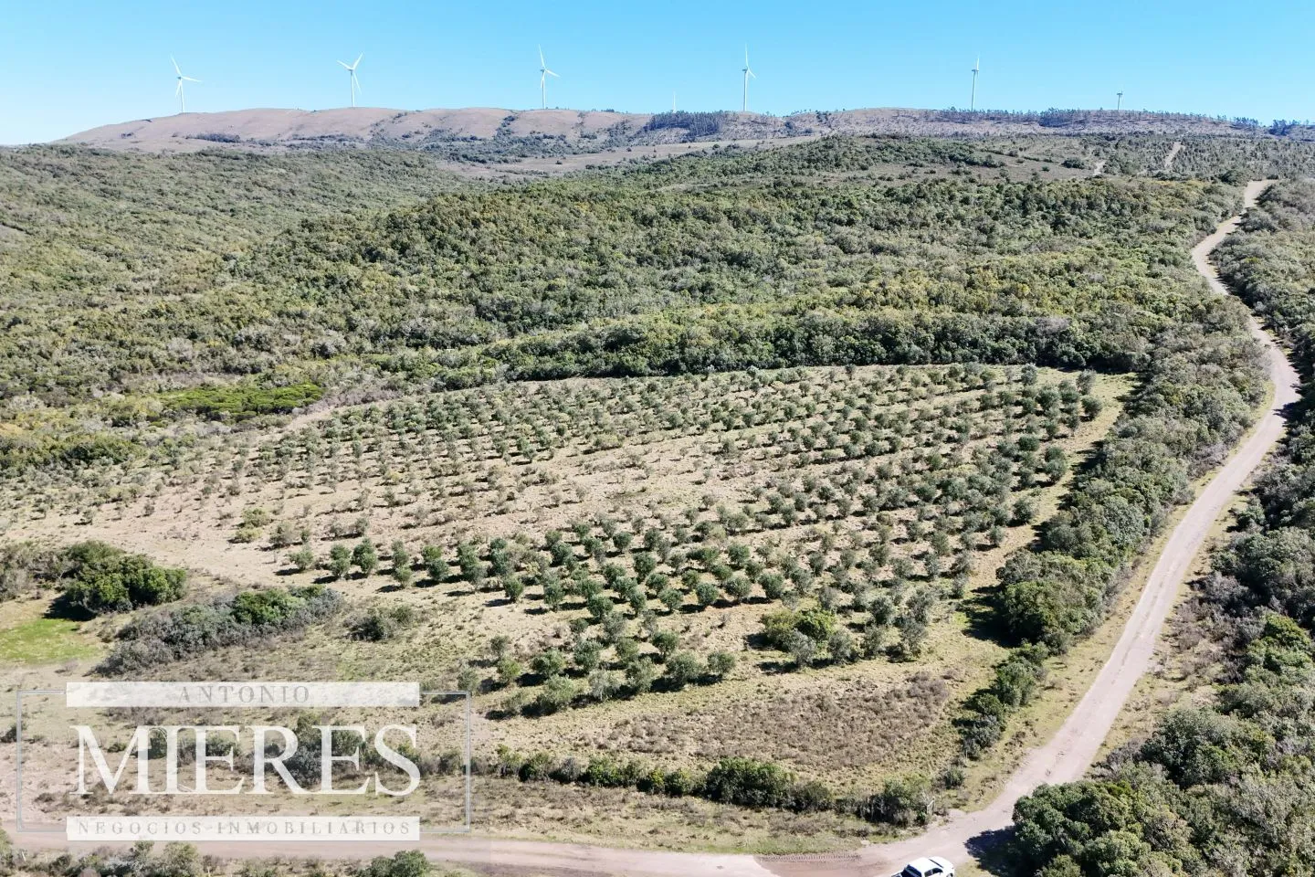 Chacra / Campo 211 ha en Maldonado — foto 4