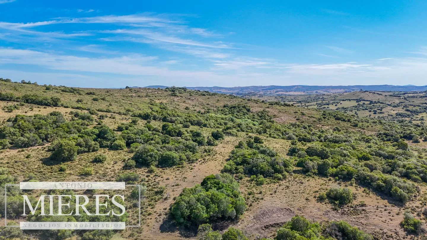 Fraccionamiento de 3 y 4 ha en sierras de Pueblo Edén — foto 15