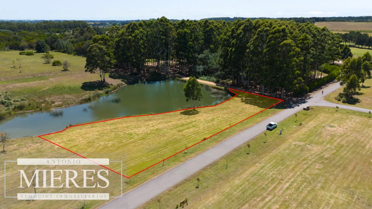 VENTA LOTE 4000M2 EN PUEBLOMIO GOLF — foto 3