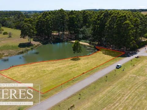 VENTA LOTE 4000M2 EN PUEBLOMIO GOLF — foto 3