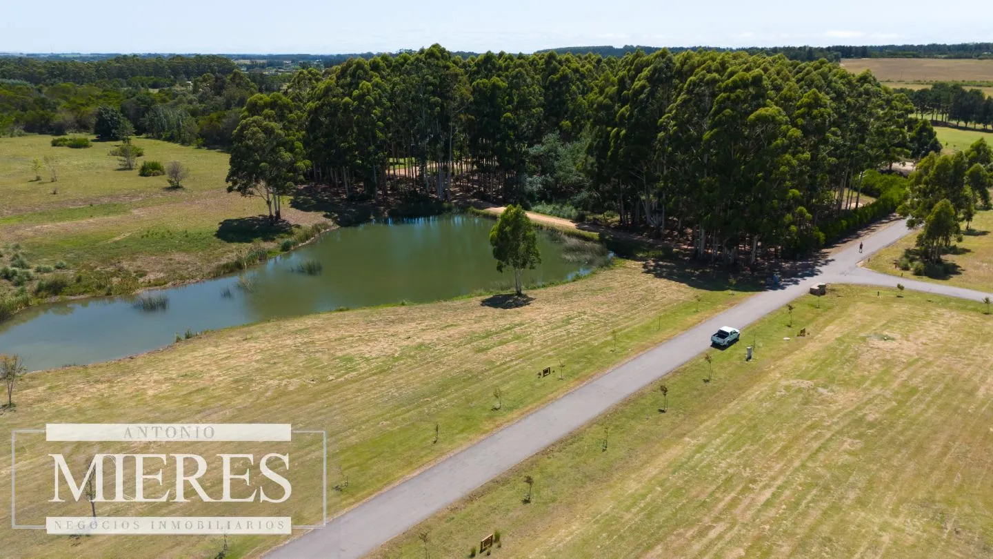 VENTA LOTE 4000M2 EN PUEBLOMIO GOLF — foto 4