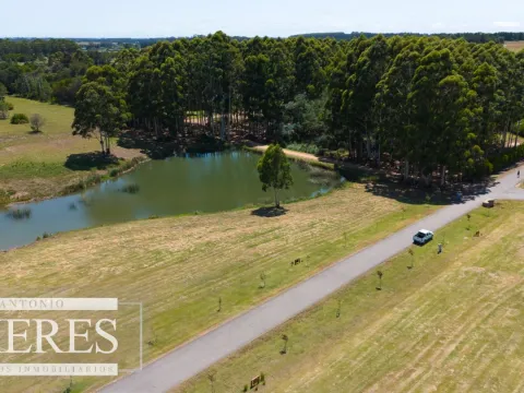 VENTA LOTE 4000M2 EN PUEBLOMIO GOLF — foto 4
