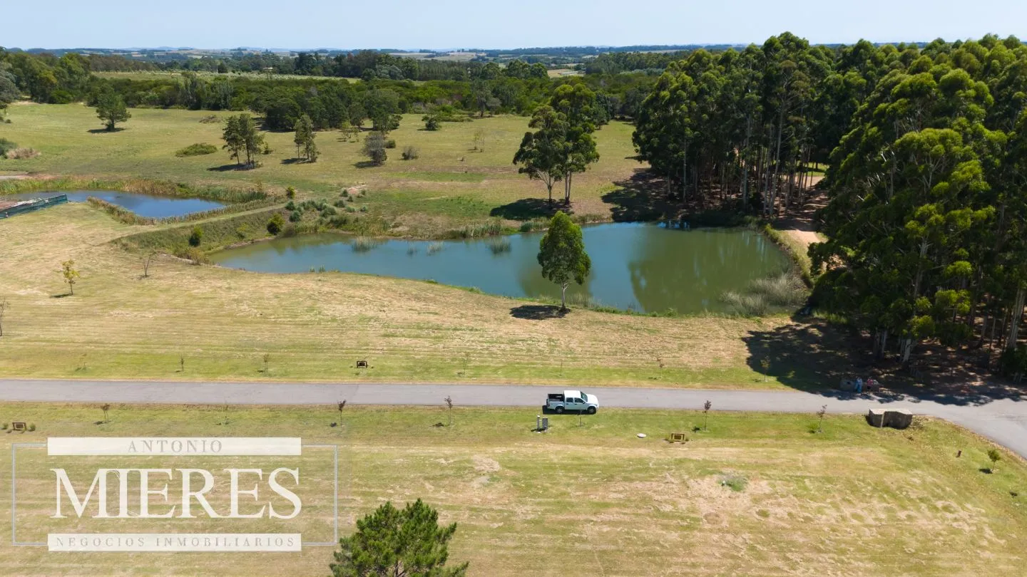 VENTA LOTE 4000M2 EN PUEBLOMIO GOLF — foto 5