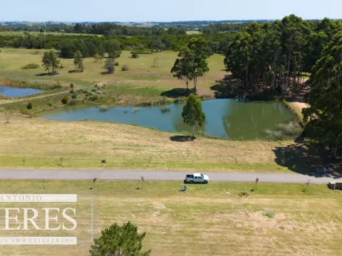 VENTA LOTE 4000M2 EN PUEBLOMIO GOLF — foto 5