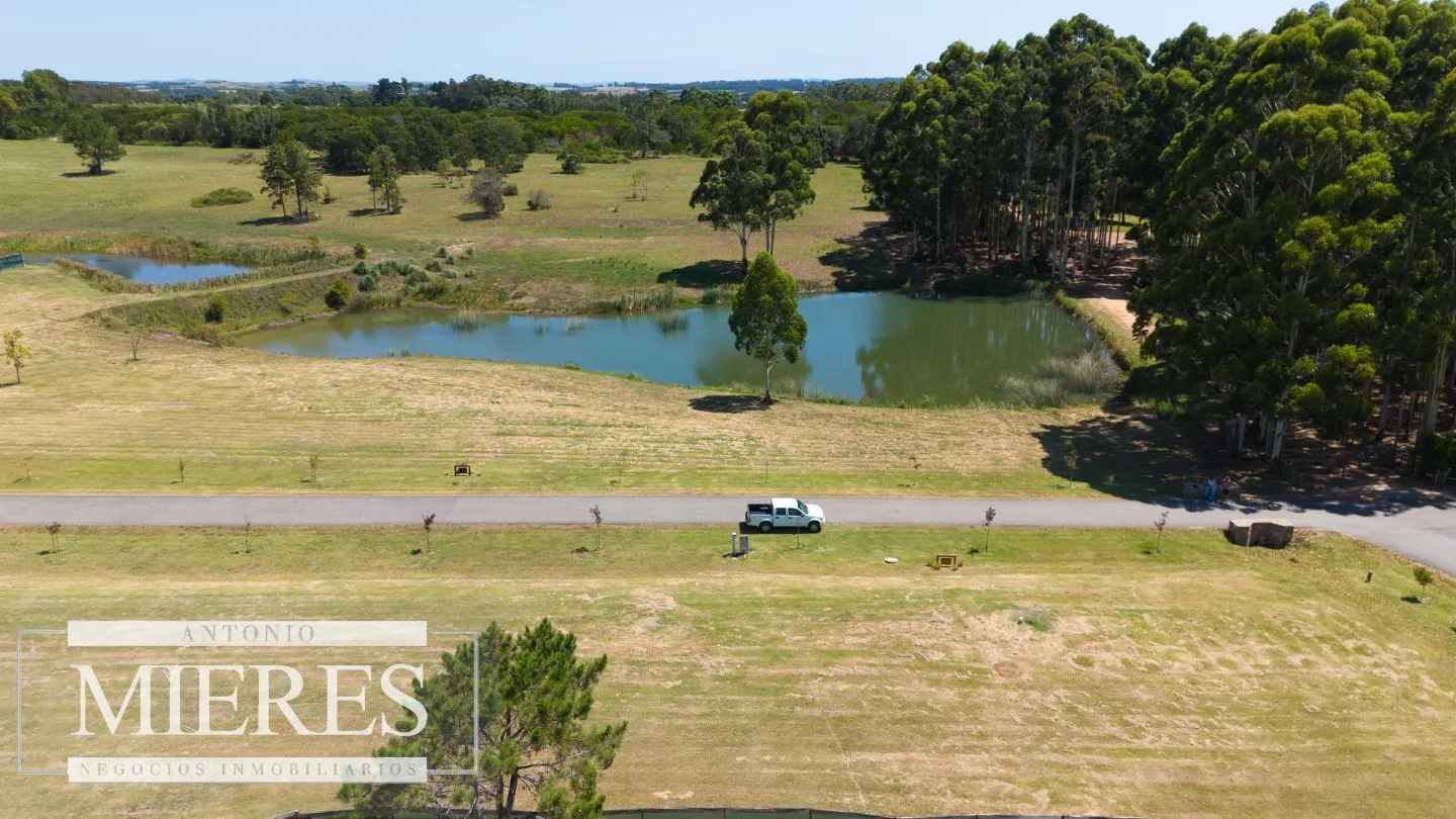VENTA LOTE 4000M2 EN PUEBLOMIO GOLF — foto 6