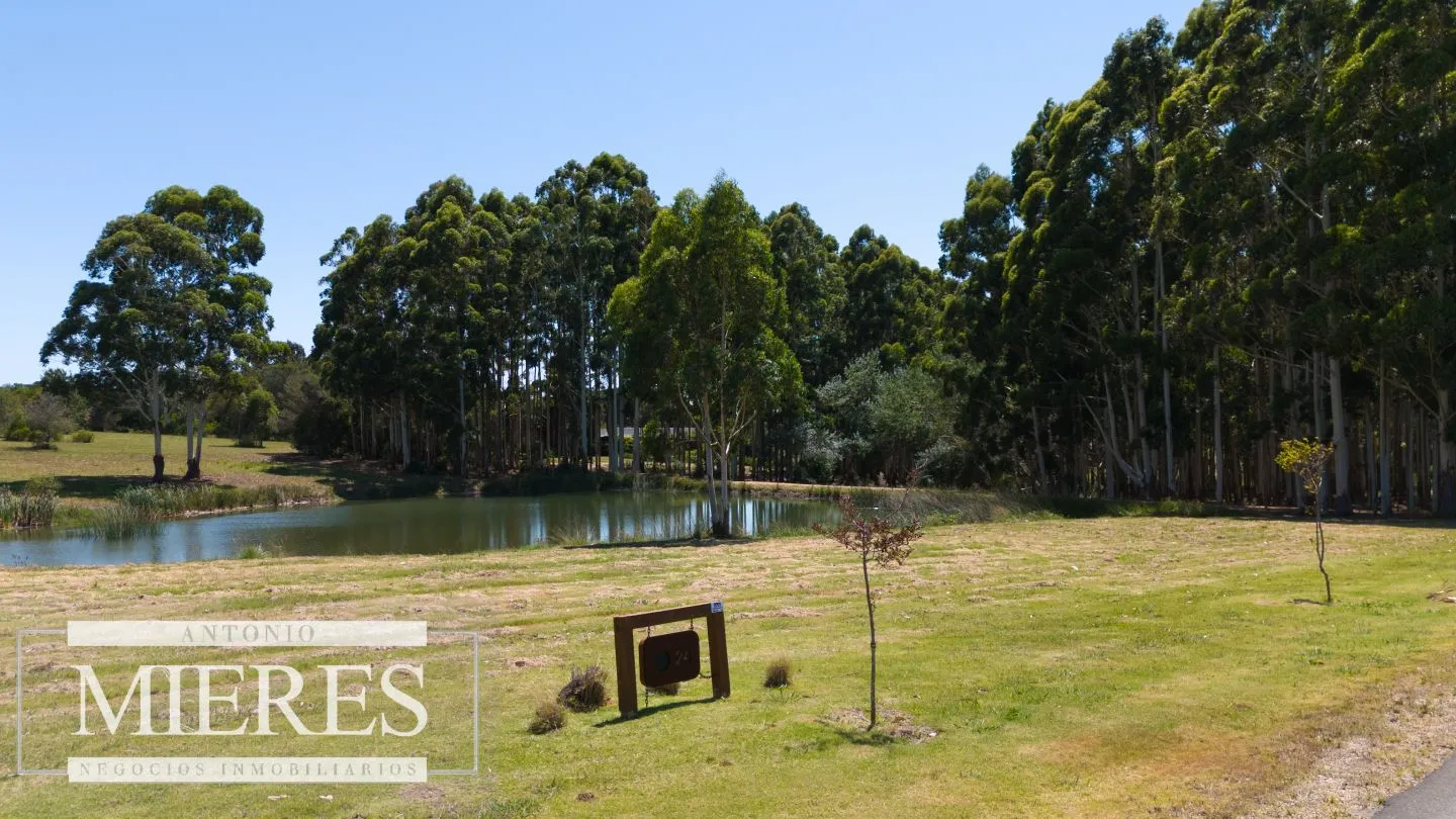 VENTA LOTE 4000M2 EN PUEBLOMIO GOLF — foto 7