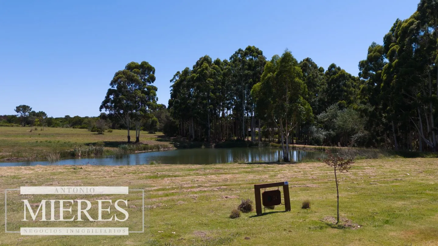 VENTA LOTE 4000M2 EN PUEBLOMIO GOLF — foto 8