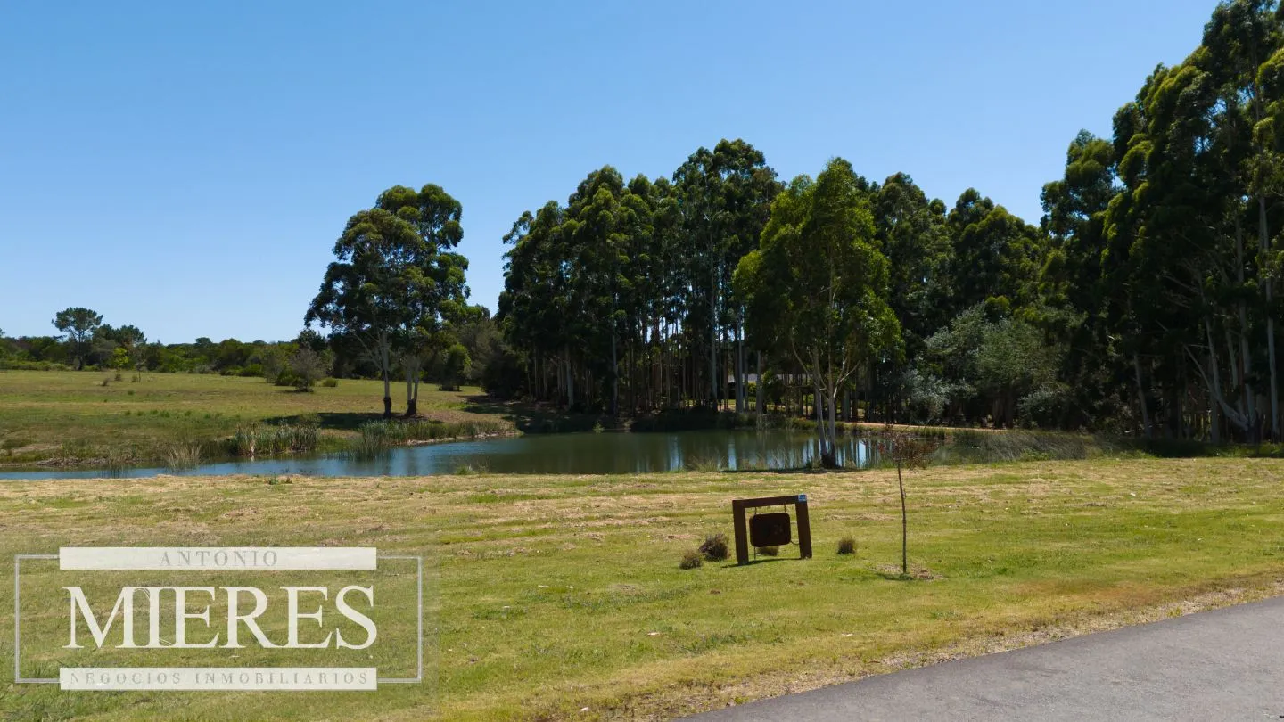 VENTA LOTE 4000M2 EN PUEBLOMIO GOLF — foto 9