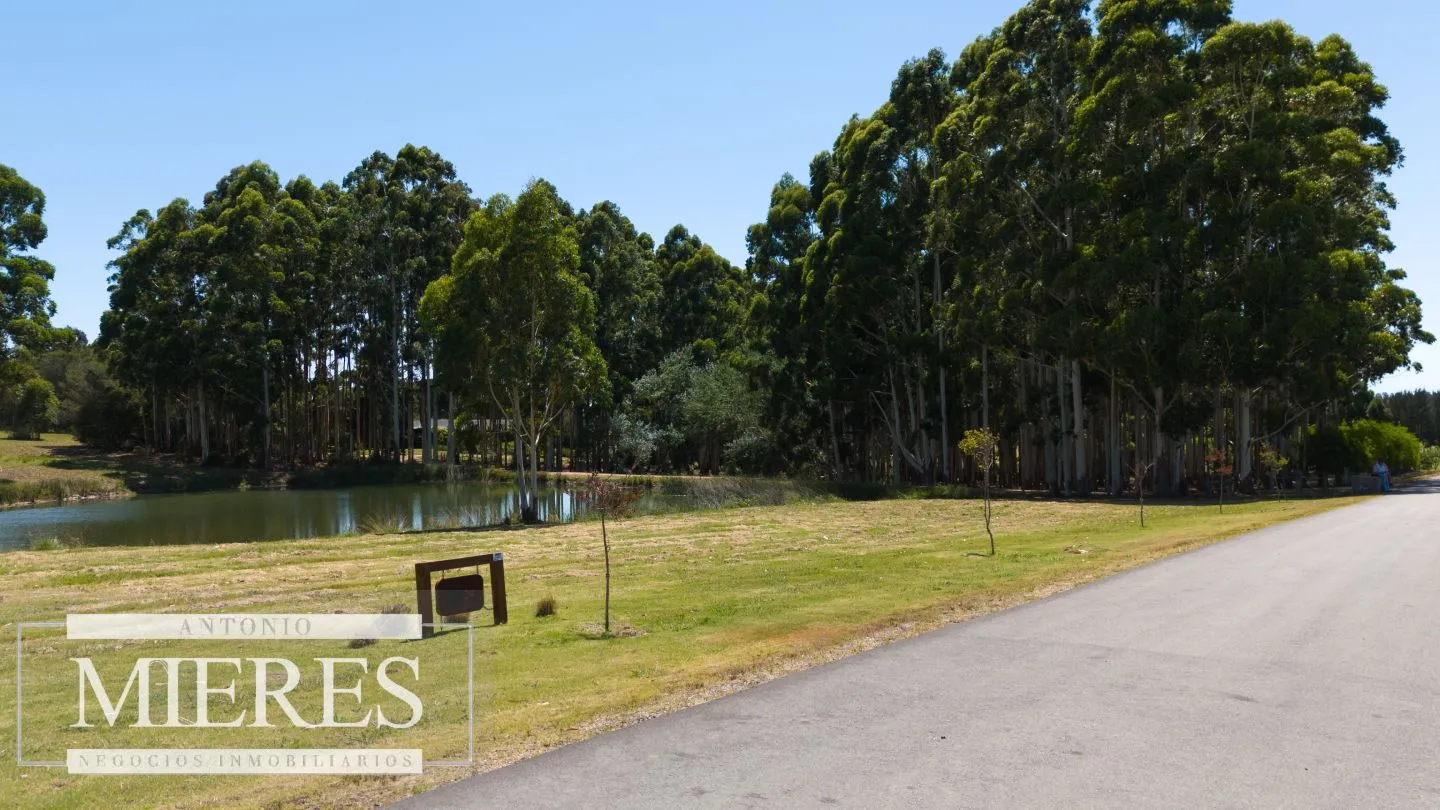 VENTA LOTE 4000M2 EN PUEBLOMIO GOLF — foto 10