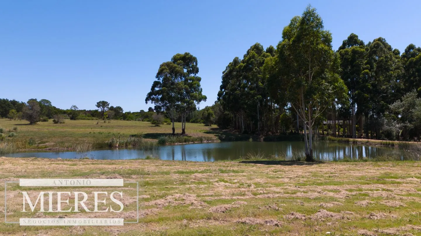 VENTA LOTE 4000M2 EN PUEBLOMIO GOLF — foto 11