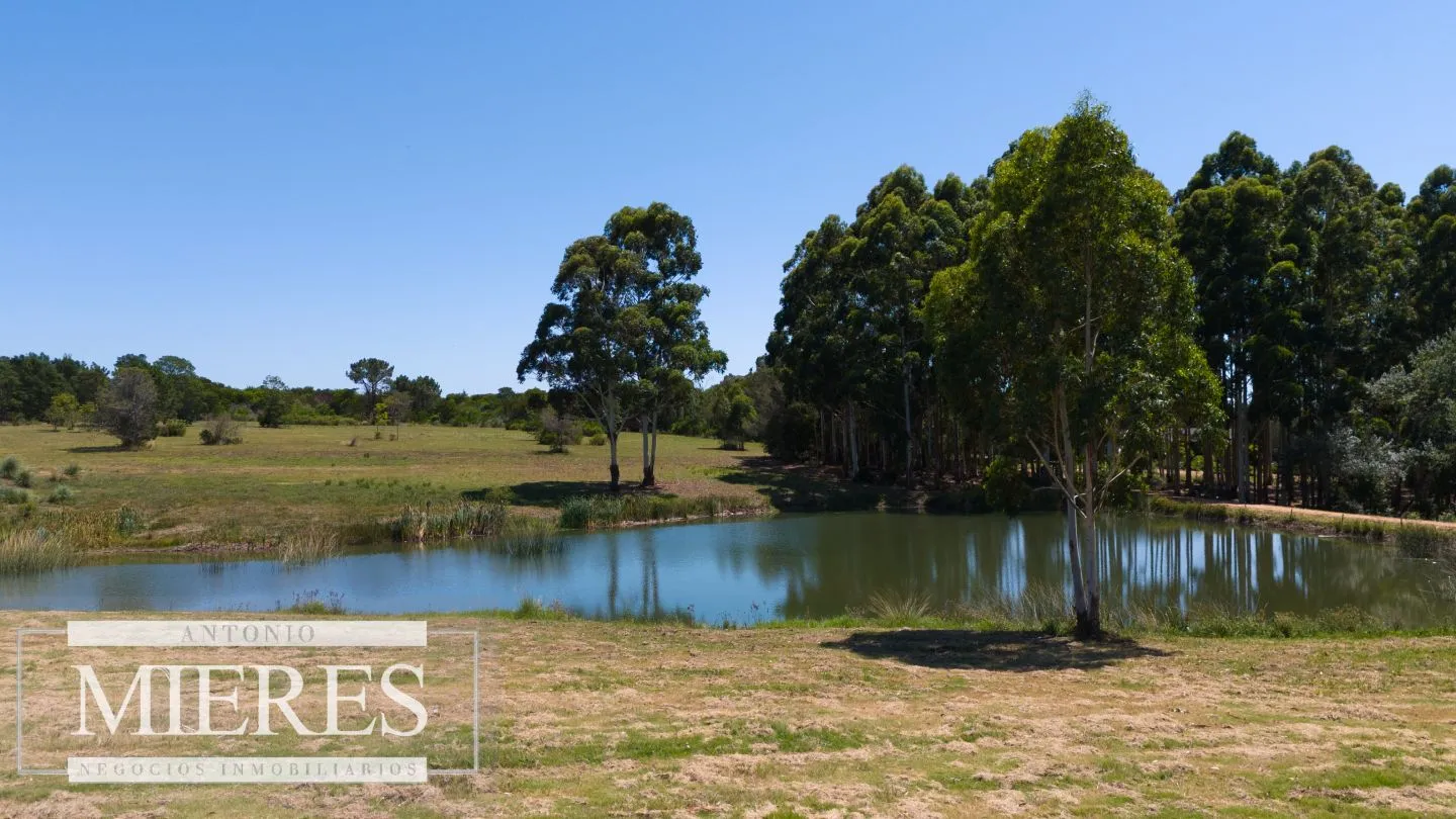 VENTA LOTE 4000M2 EN PUEBLOMIO GOLF — foto 12