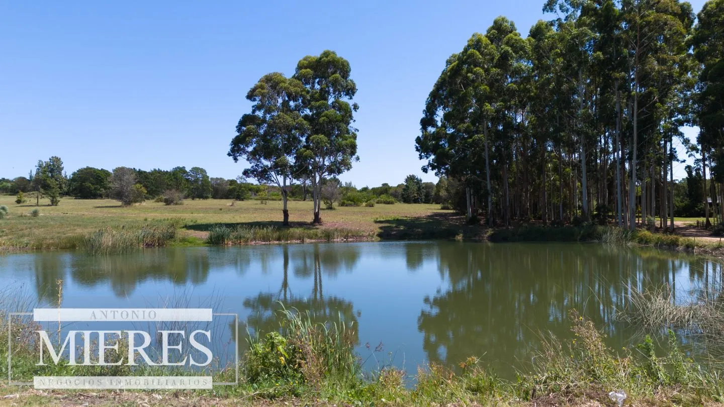 VENTA LOTE 4000M2 EN PUEBLOMIO GOLF — foto 13