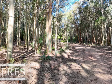 Chacra exclusiva en venta Laguna del Sauce Maldonado, Uruguay. — foto 3