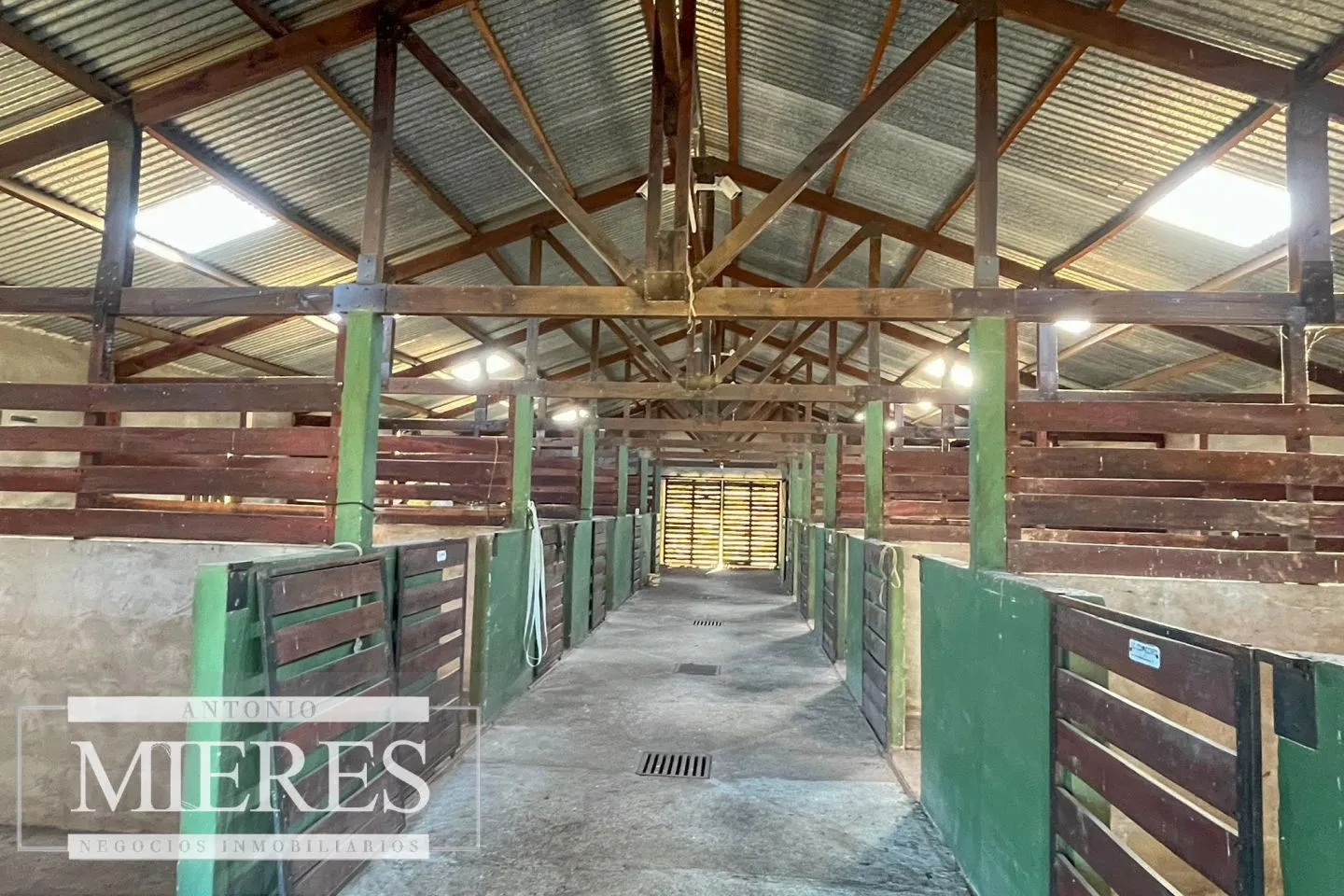 Chacra / Campo 53 ha en Lavalleja — foto 18