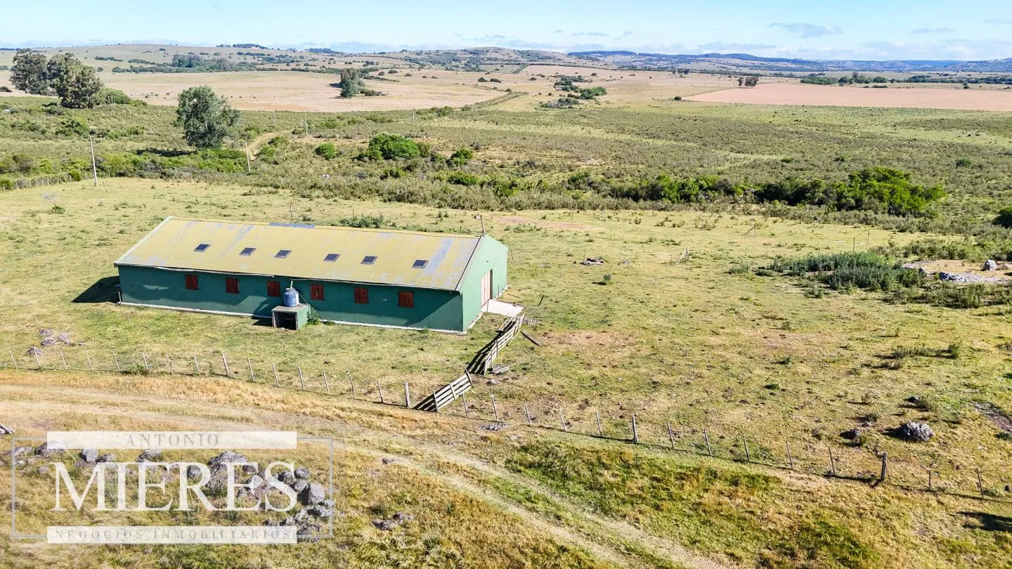 Chacra / Campo 53 ha en Lavalleja — foto 19