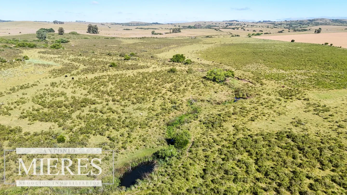 Chacra / Campo 53 ha en Lavalleja — foto 21