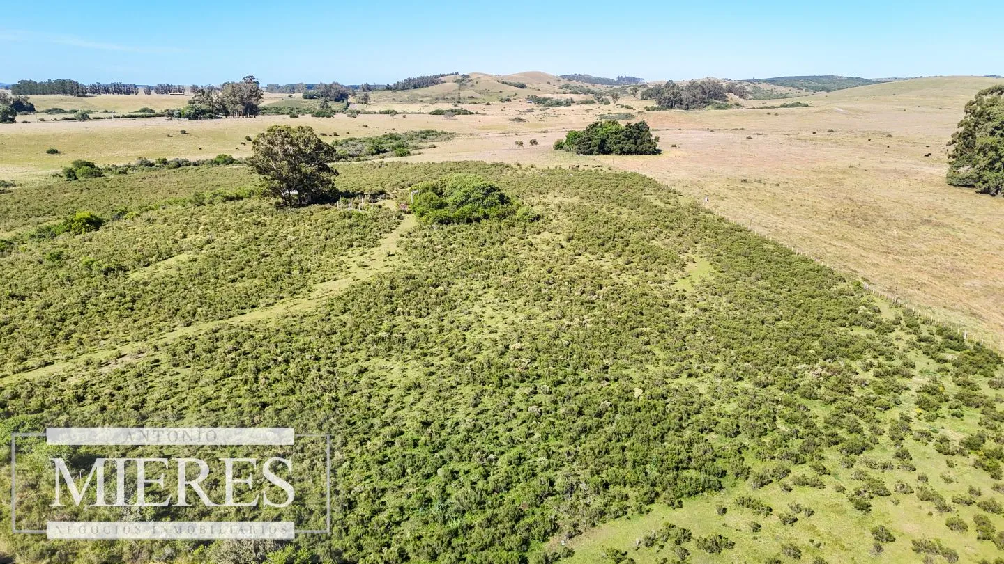 Chacra / Campo 53 ha en Lavalleja — foto 22