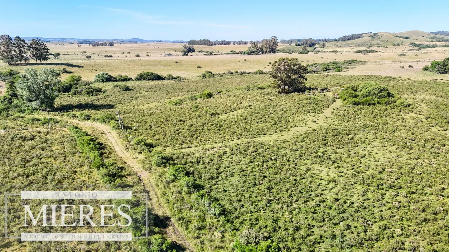 Chacra / Campo 53 ha en Lavalleja — foto 23