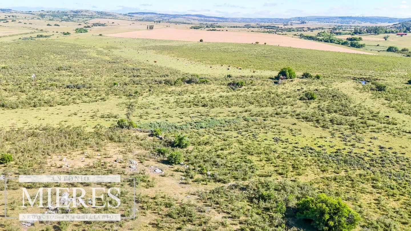 Chacra / Campo 53 ha en Lavalleja — foto 27