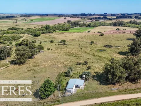 Chacra en venta de 2,8 ha con casa Estación de José Ignacio. — foto 3
