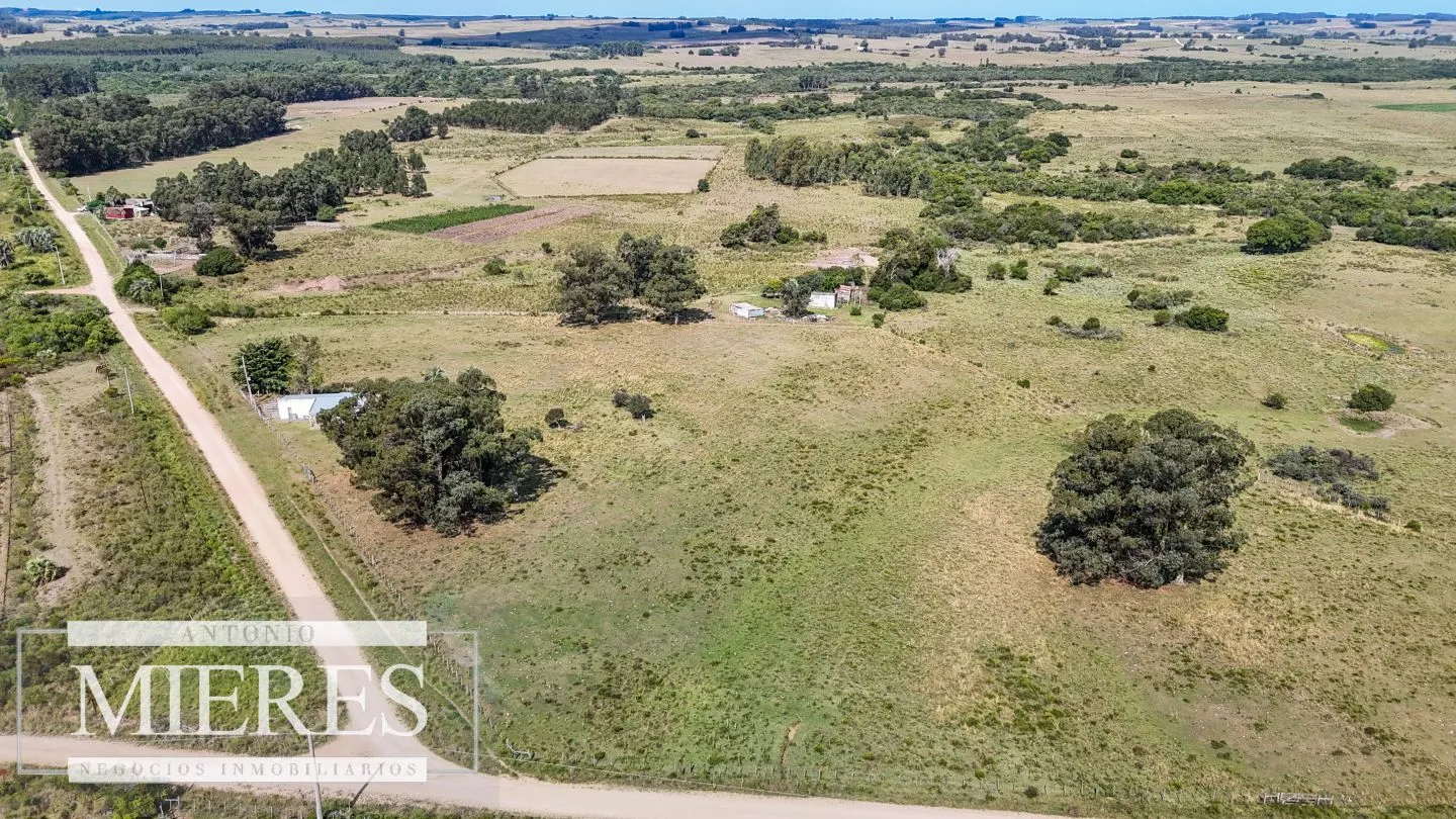 Chacra en venta de 2,8 ha con casa Estación de José Ignacio. — foto 5