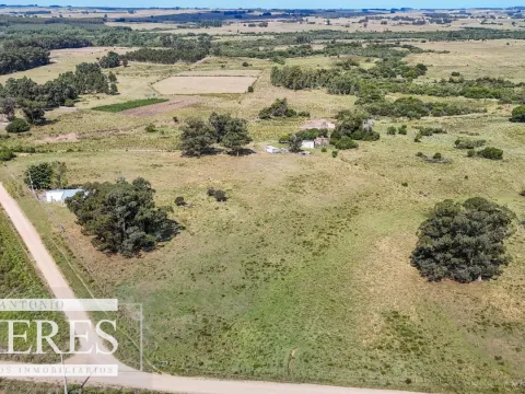 Chacra en venta de 2,8 ha con casa Estación de José Ignacio. — foto 5