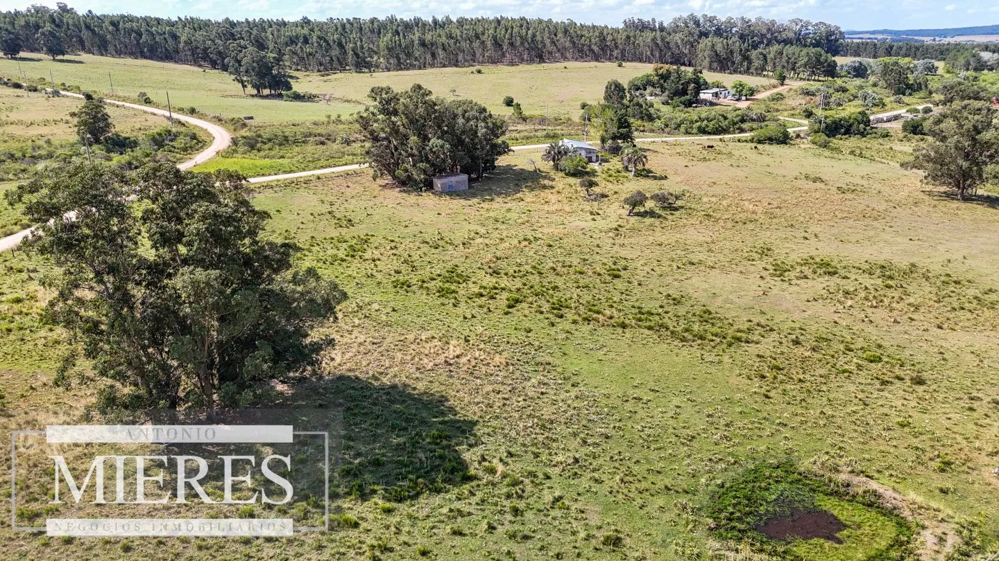 Chacra en venta de 2,8 ha con casa Estación de José Ignacio. — foto 7
