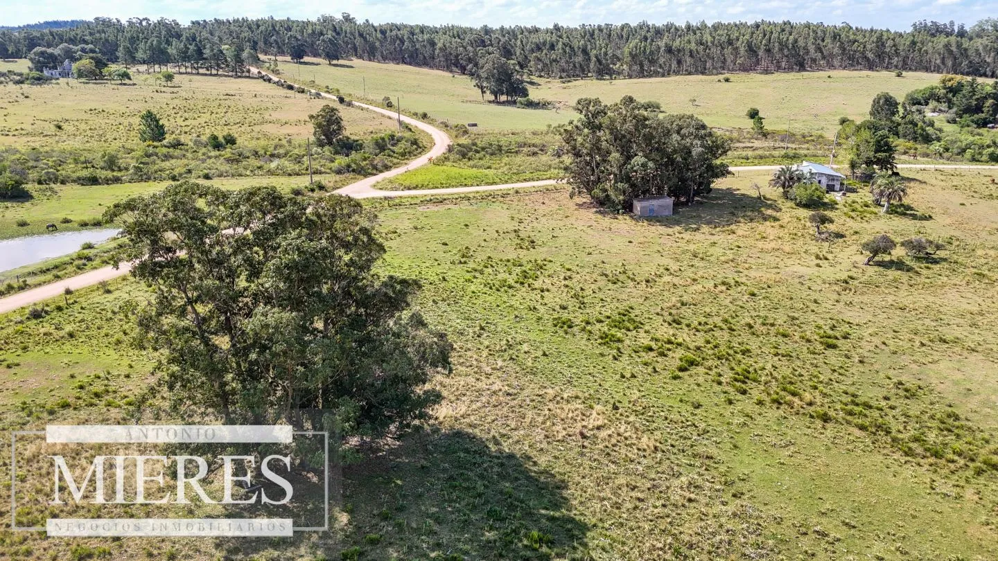 Chacra en venta de 2,8 ha con casa Estación de José Ignacio. — foto 8