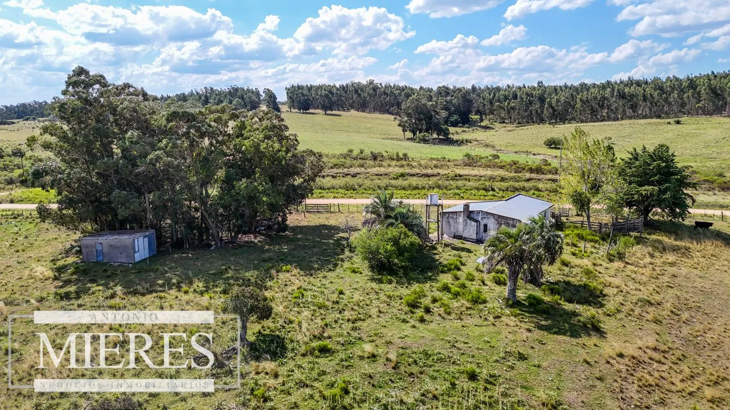 Chacra en venta de 2,8 ha con casa Estación de José Ignacio. — foto 12