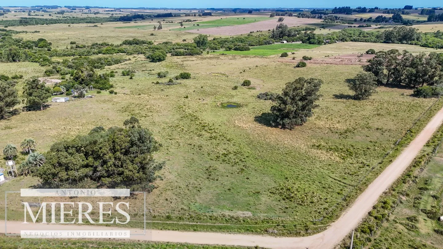 Chacra en venta de 2,8 ha con casa Estación de José Ignacio. — foto 14