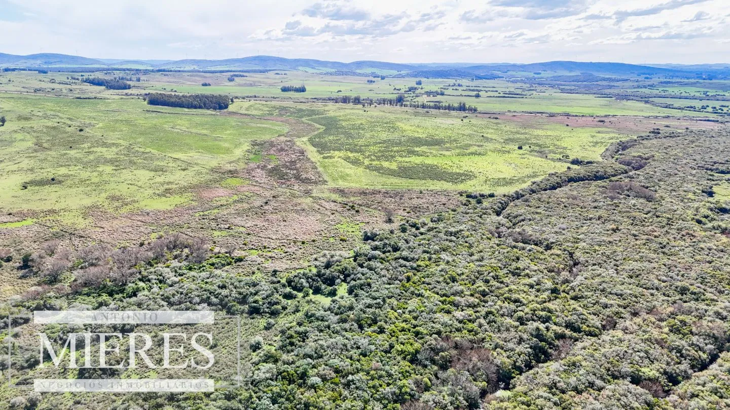 Chacra / Campo 47 ha en San Carlos — foto 1