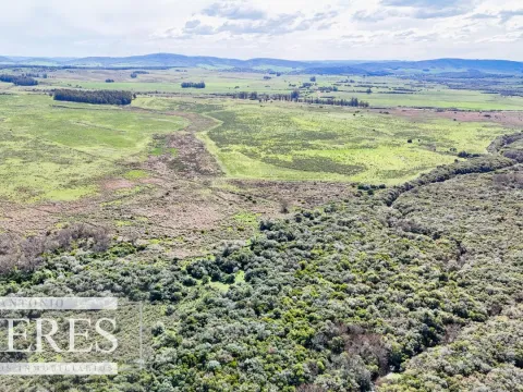 Chacra / Campo 47 ha en San Carlos