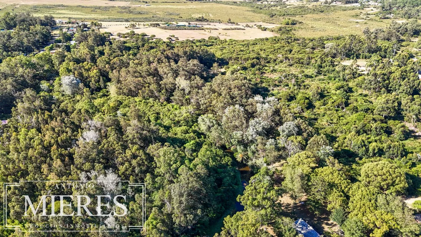 Chacra de 10 ha en venta balneario Las Flores, Maldonado Uruguay. — foto 4