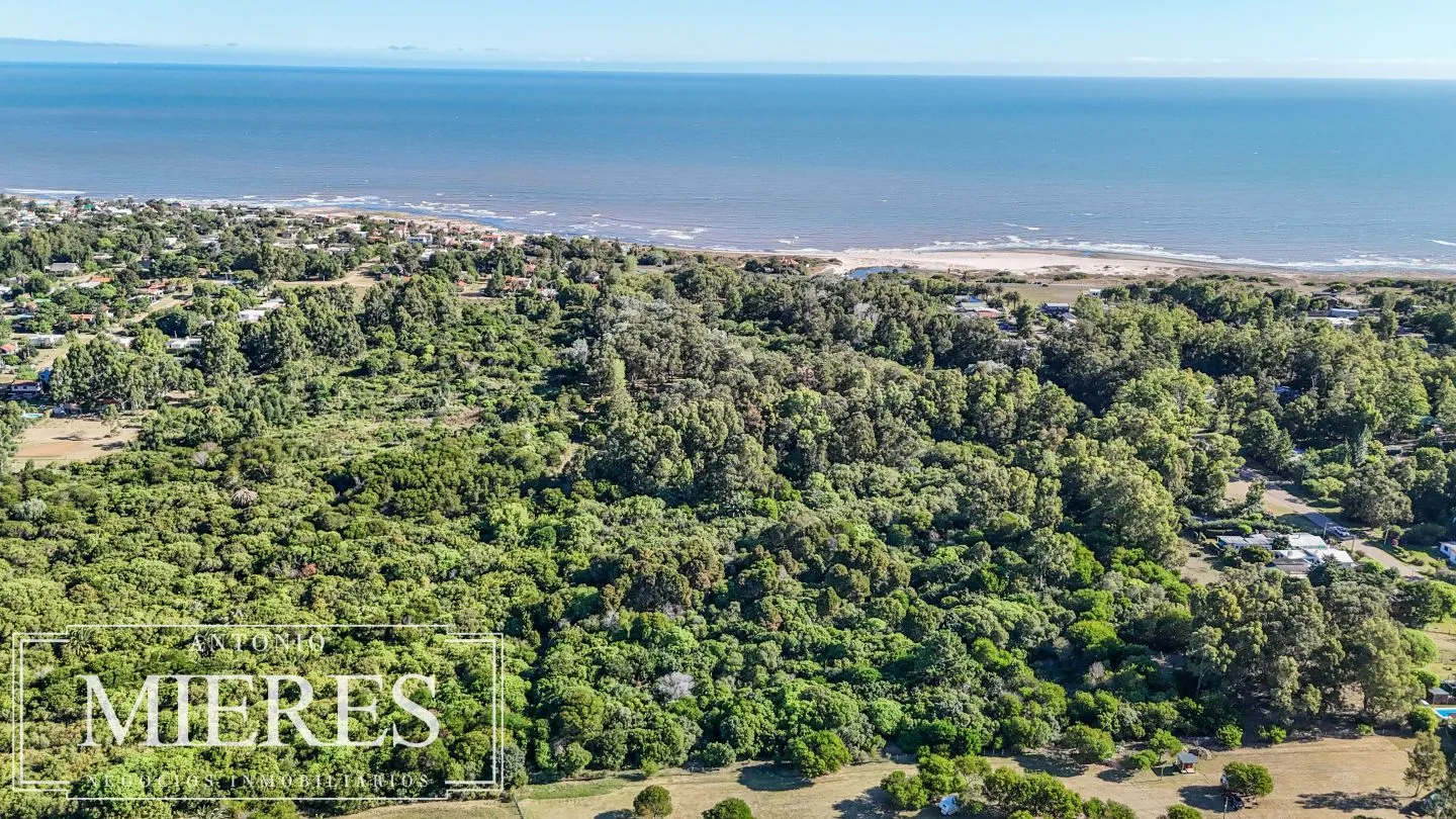 Chacra de 10 ha en venta balneario Las Flores, Maldonado Uruguay. — foto 5
