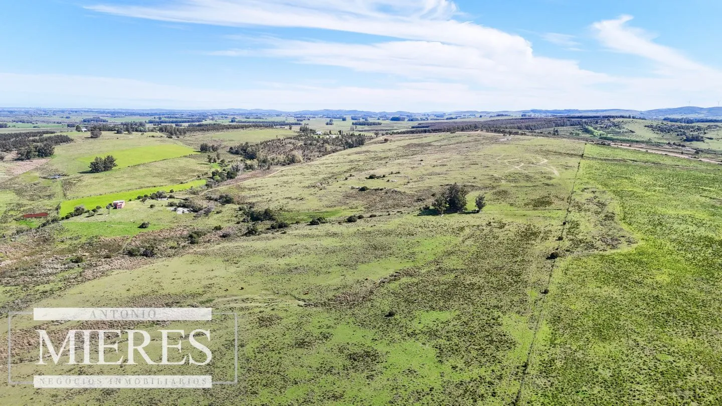 Chacra / Campo 47 ha en San Carlos — foto 4