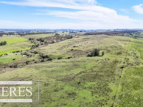 Chacra / Campo 47 ha en San Carlos — foto 4