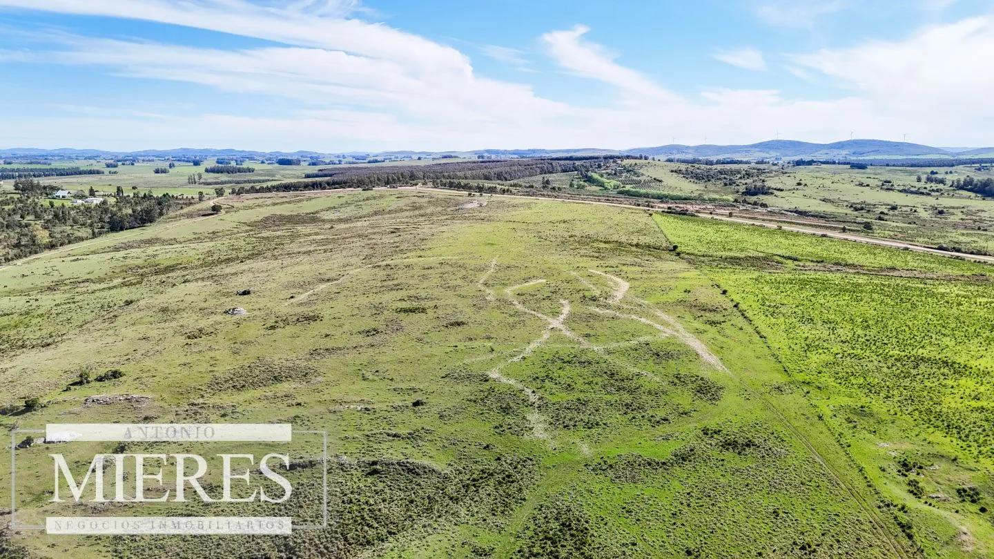 Chacra / Campo 47 ha en San Carlos — foto 5