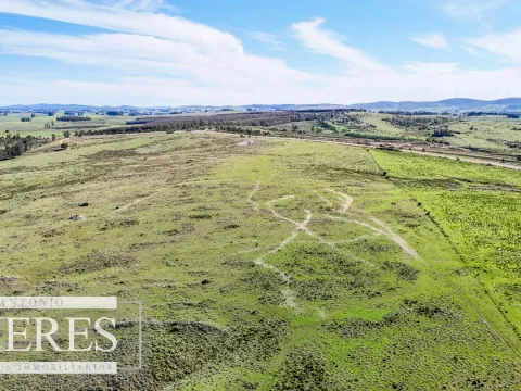 Chacra / Campo 47 ha en San Carlos — foto 5