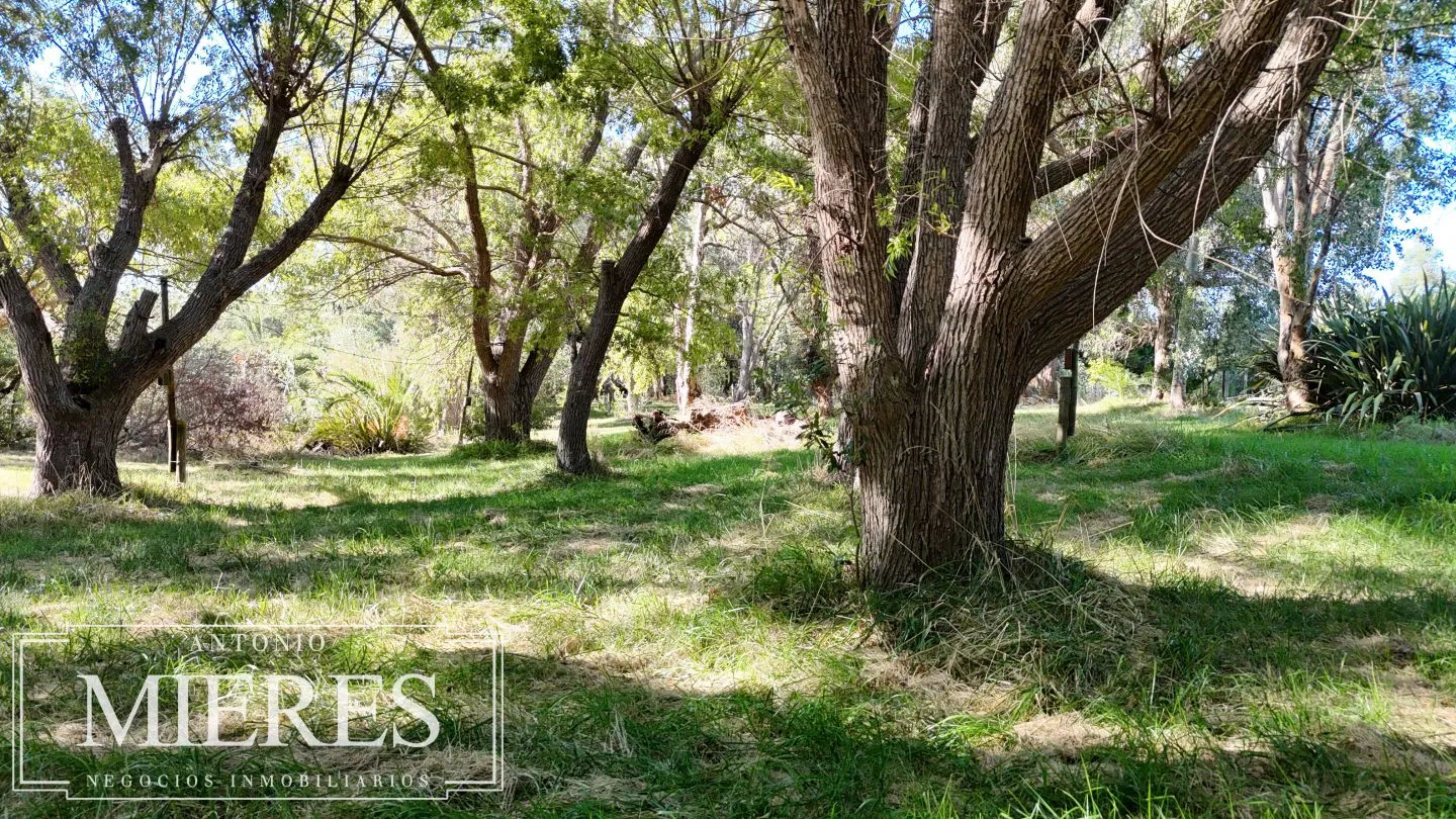 Chacra de 10 ha en venta balneario Las Flores, Maldonado Uruguay. — foto 8