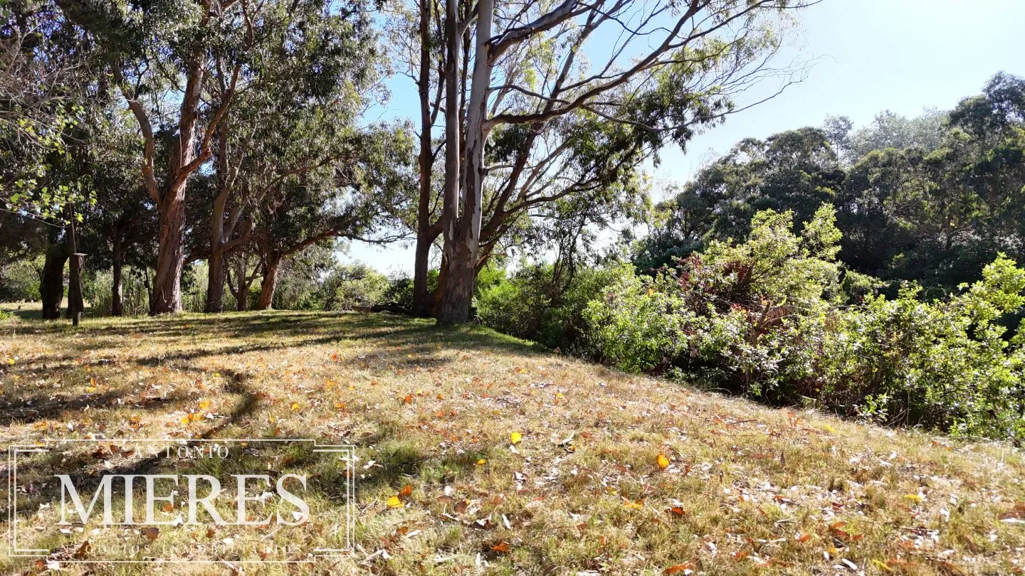 Chacra de 10 ha en venta balneario Las Flores, Maldonado Uruguay. — foto 10