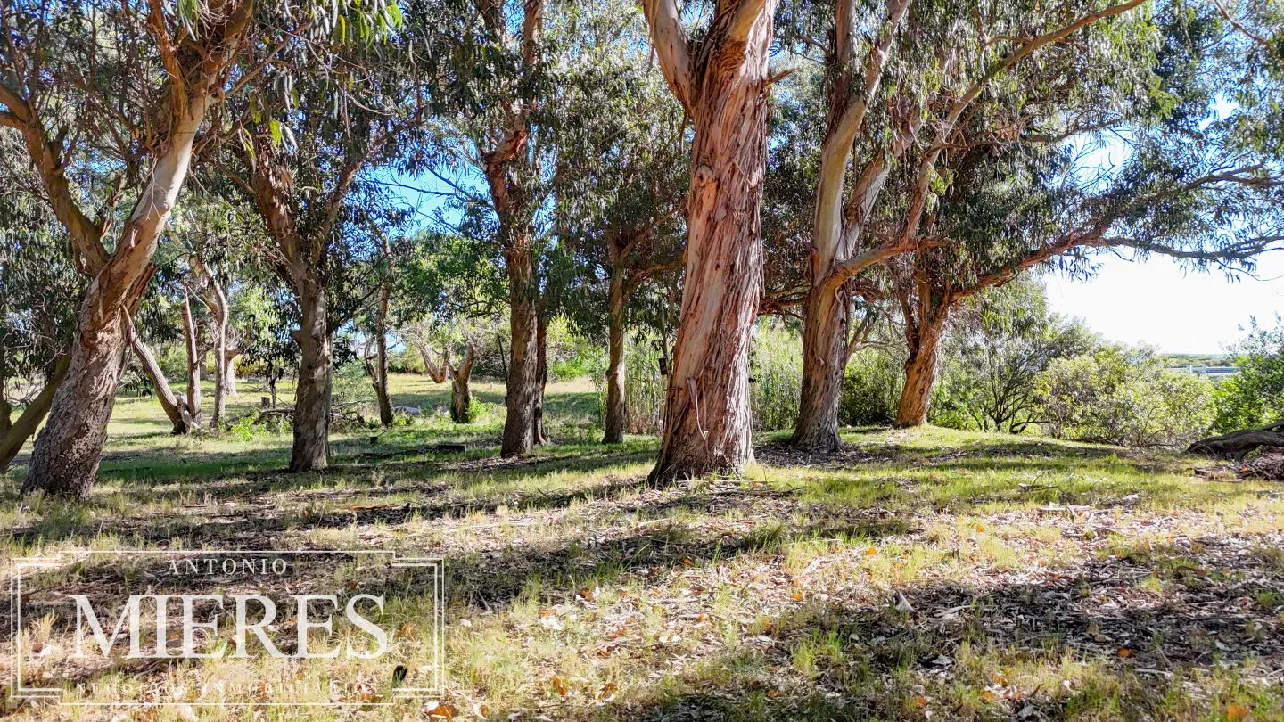 Chacra de 10 ha en venta balneario Las Flores, Maldonado Uruguay. — foto 11