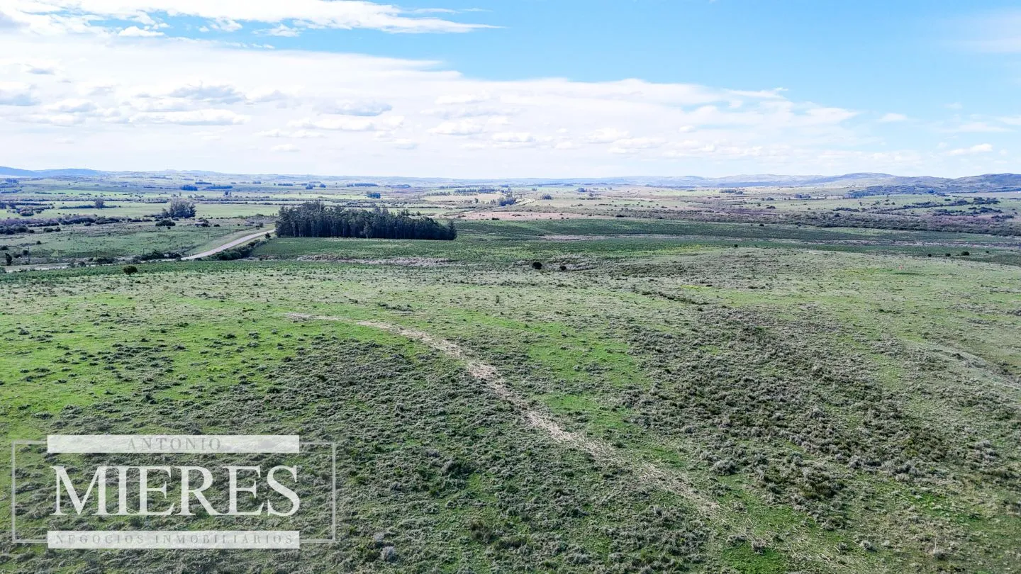 Chacra / Campo 47 ha en San Carlos — foto 11