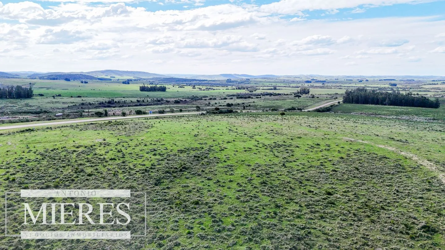 Chacra / Campo 47 ha en San Carlos — foto 12