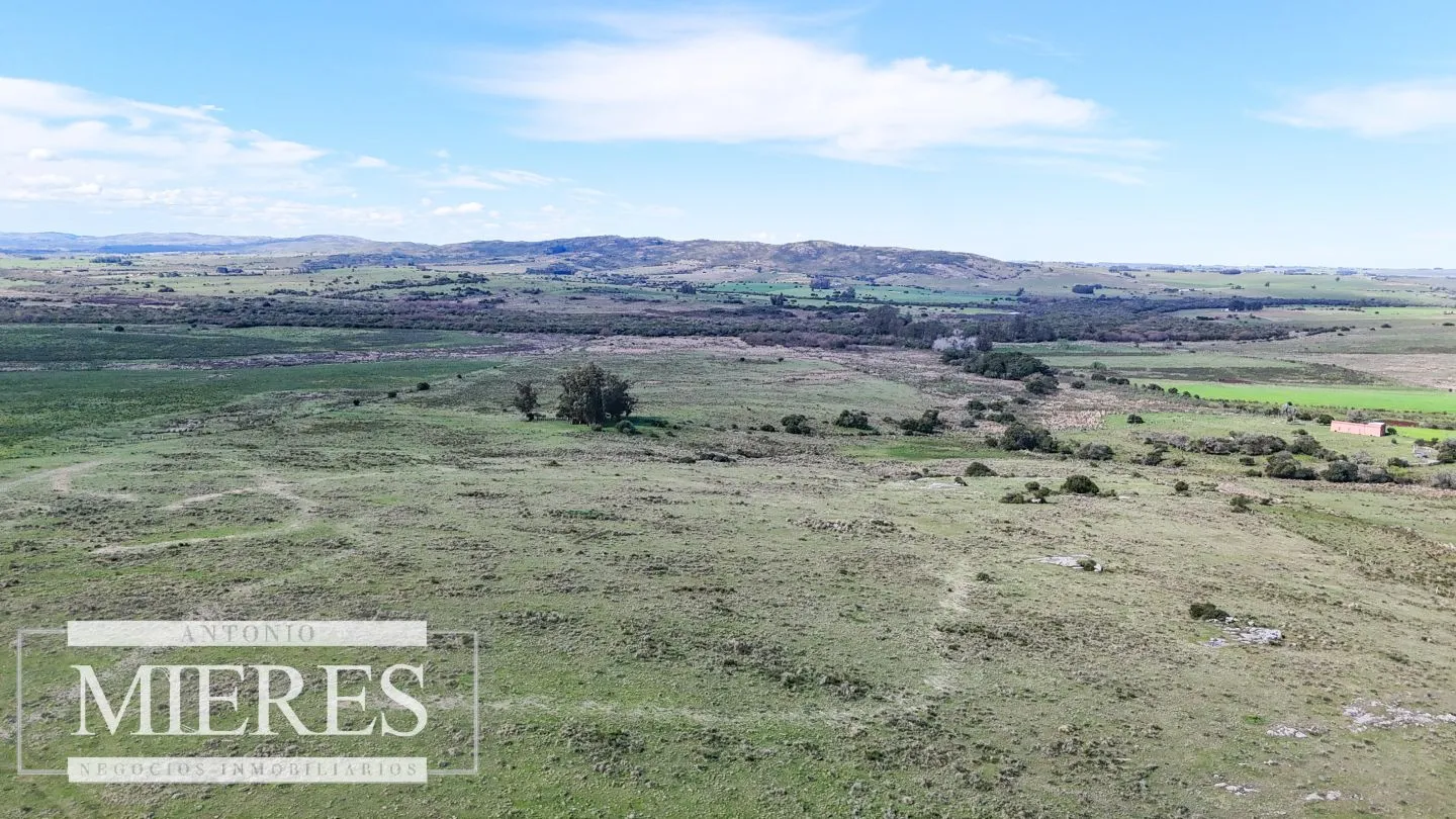 Chacra / Campo 47 ha en San Carlos — foto 13