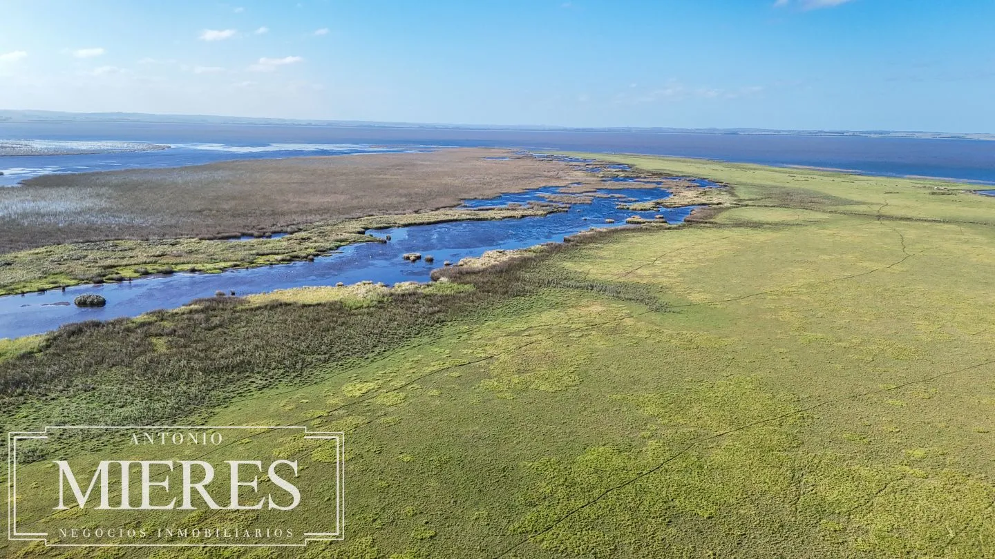 Campo en venta de 750 ha ganaderas en Rocha, Uruguay. — foto 1