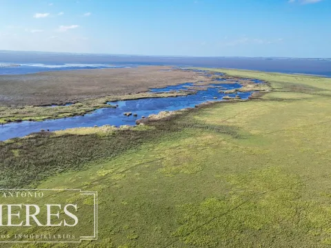 Campo en venta de 750 ha ganaderas en Rocha, Uruguay.