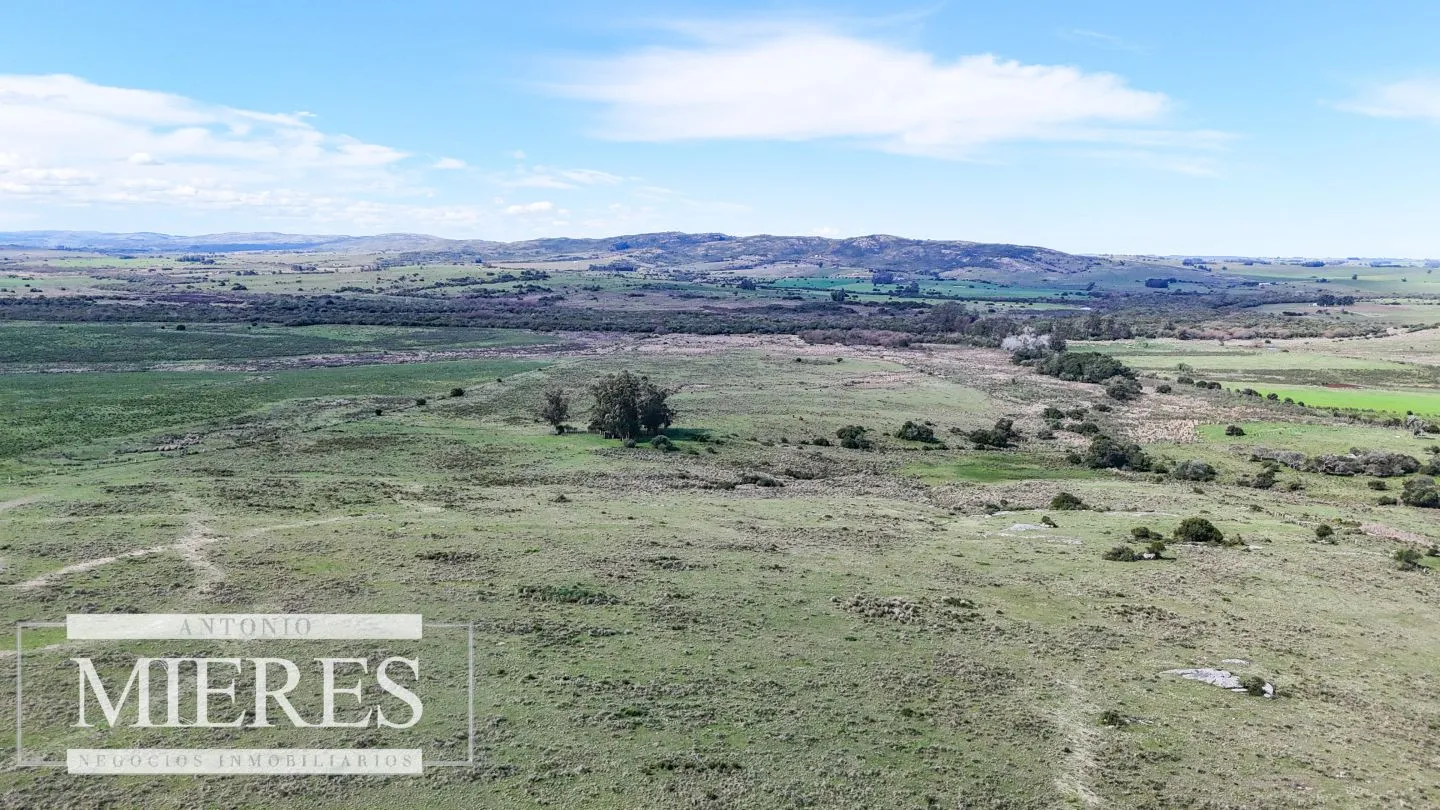 Chacra / Campo 47 ha en San Carlos — foto 15